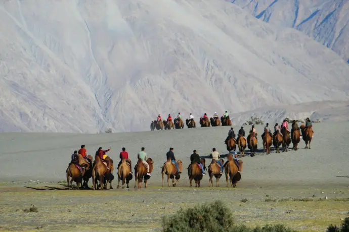 a group of people riding on the backs of horses